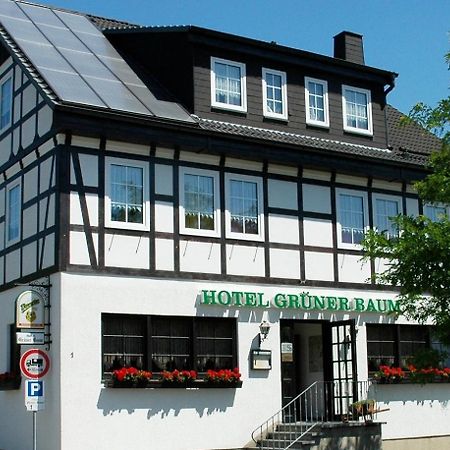 Hotel Grüner Baum Stollberg Exterior foto